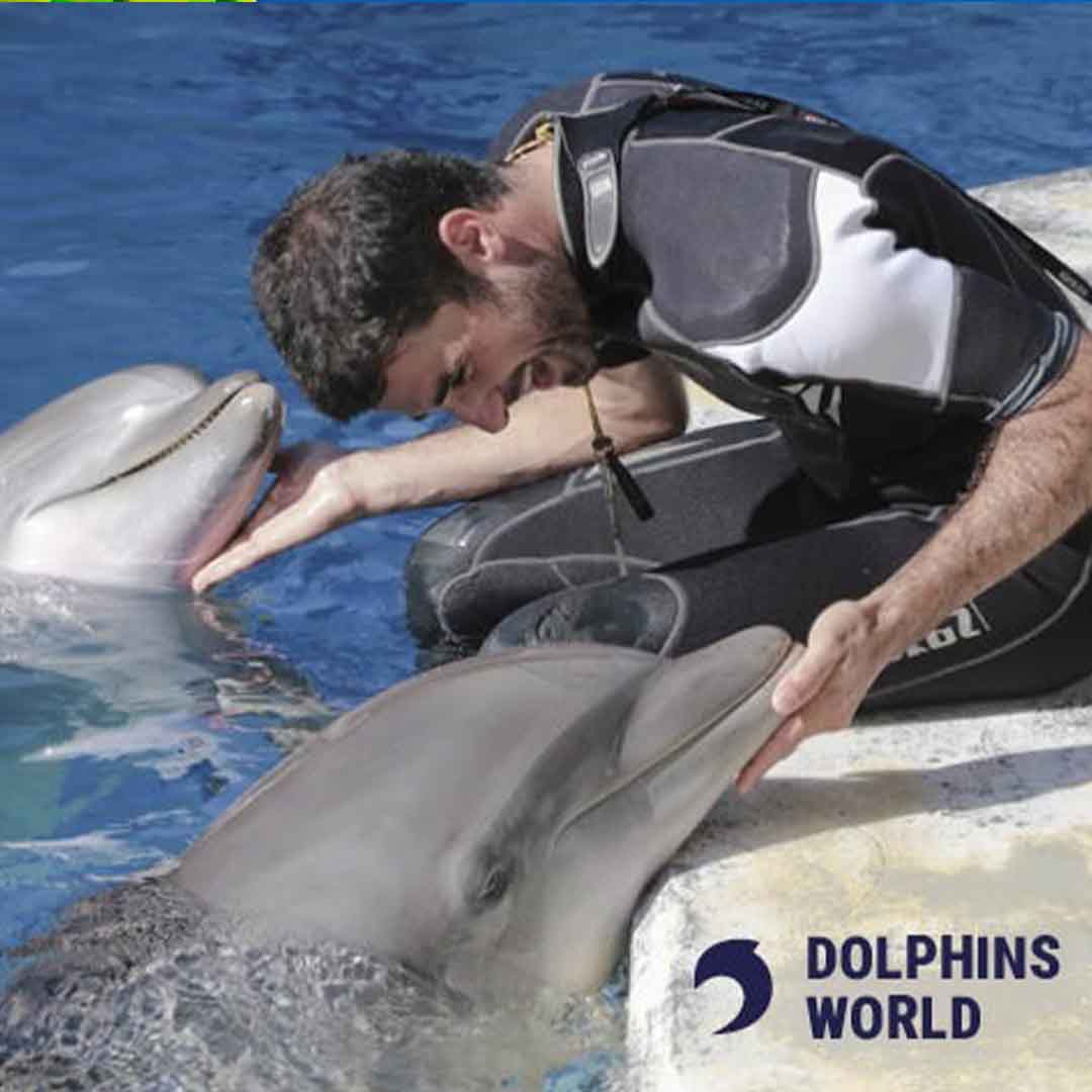 acquario di cattolica 1