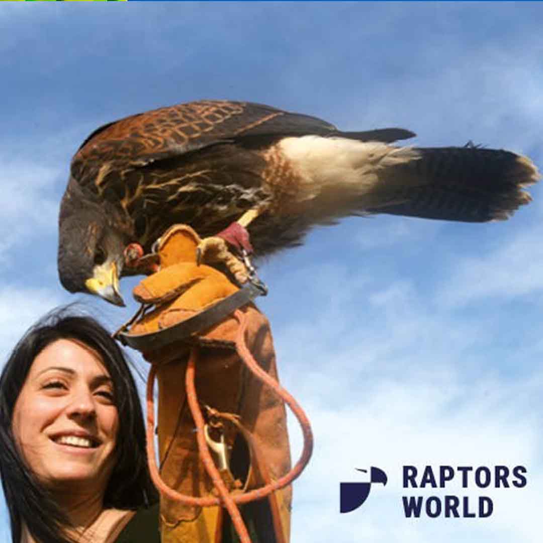 acquario di cattolica